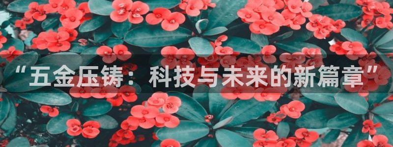 cq9电子官网首页