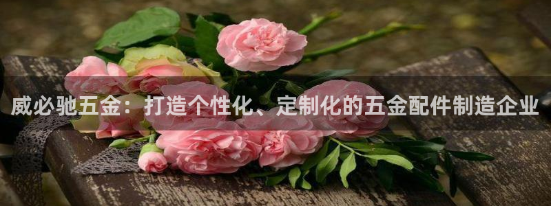 cq9电子网络