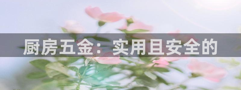 cq9电子琴