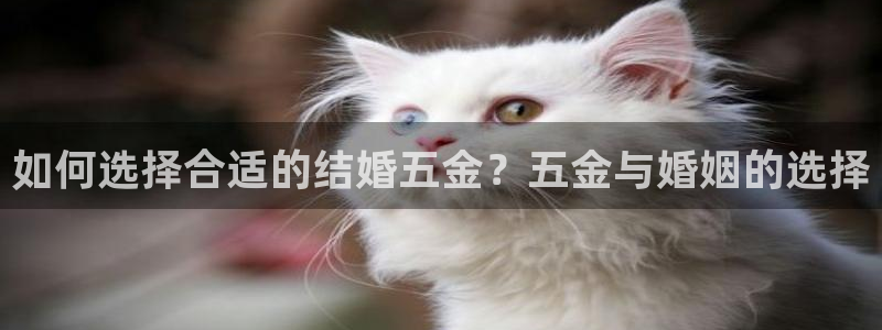 传奇电子cq9火凤凰