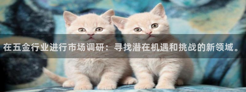 cq9电子注单