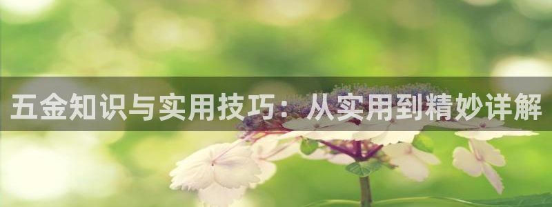 cq9电子游戏辅助