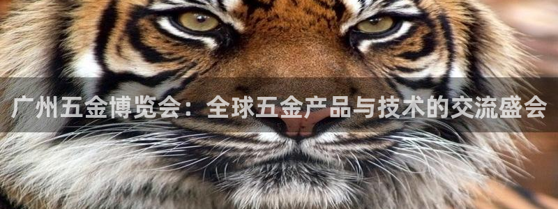 CQ9电子押注乘数