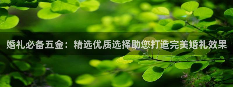 电子cq9幸运