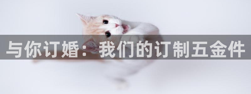cq9电子平台游戏