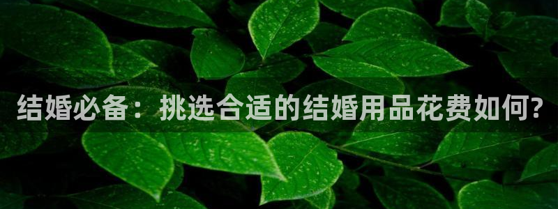 cq9传奇电子水世界