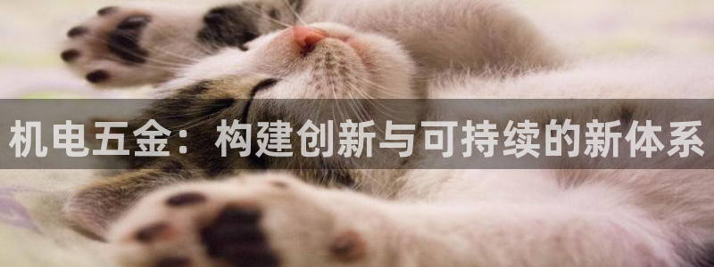 cq9传奇电子拳霸