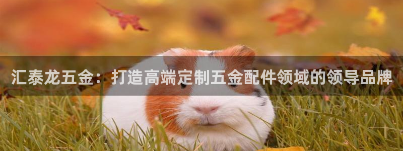 cq9电子游戏手机