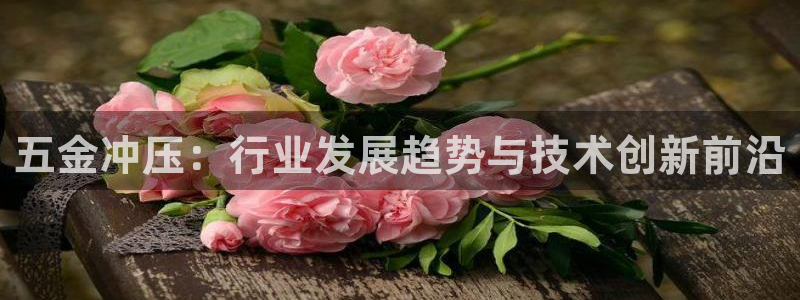 cq9电子备用网址